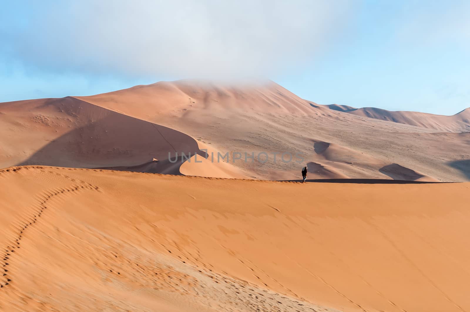 View from the sickle shaped sand dune next to Sossusvlei towards the north. Sand dunes and a tourist are visible