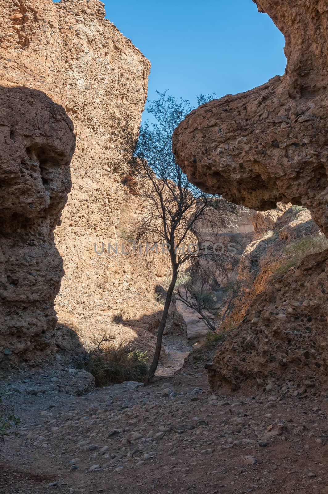 Entrance to the Sesriem Canyon by dpreezg