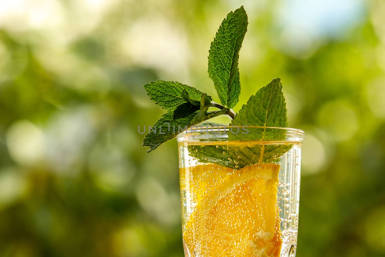 Lemon water with mint in a glass. Summer garden background