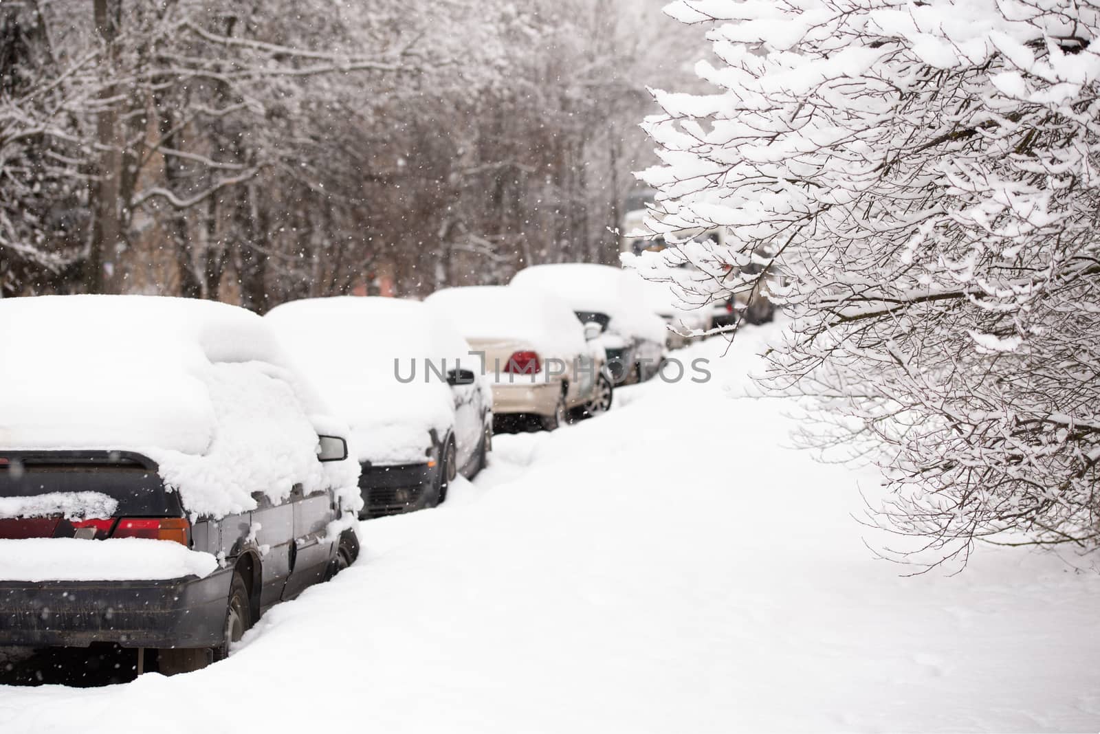 Car row on road side covered by thick snow layer with selective focus and snowy bush.