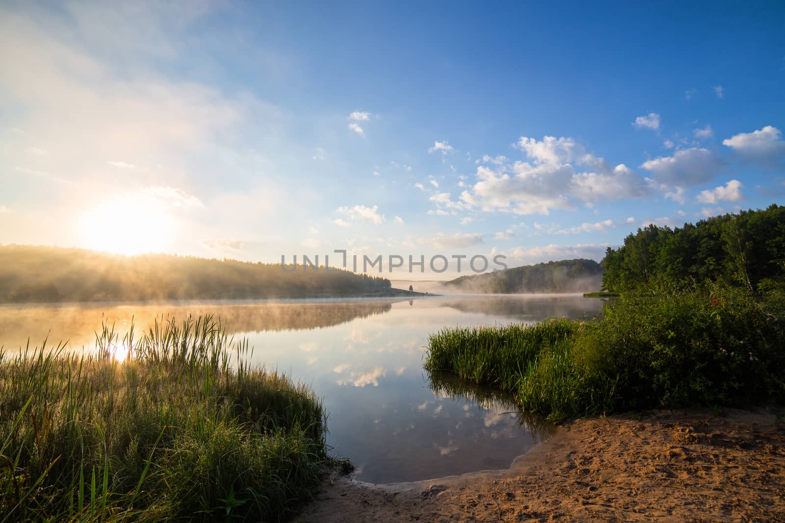foggy lakeside at sunrise with tall grass and sand in foreground by z1b