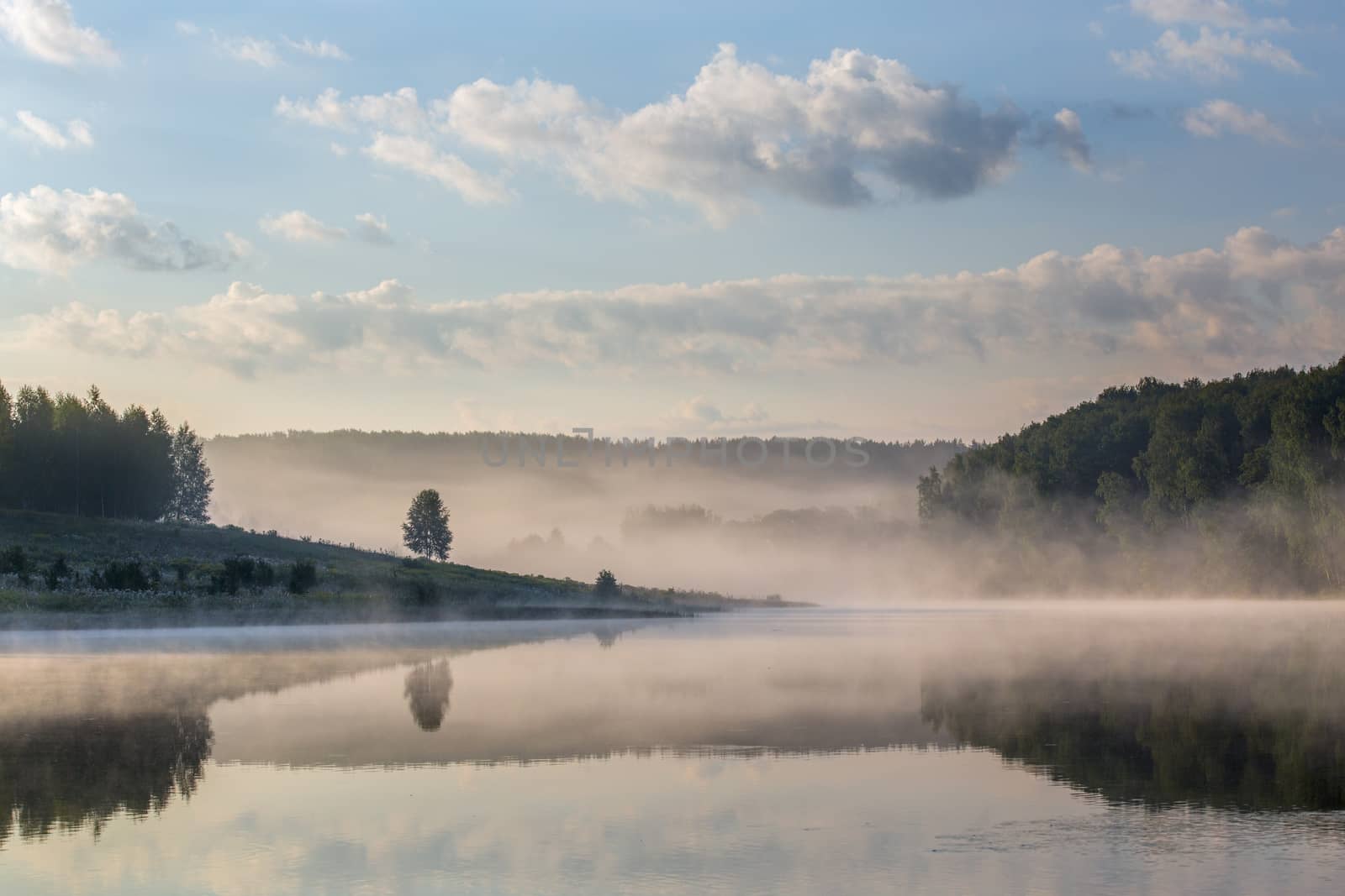 foggy lakeside at summer sunrise with tall grass by z1b