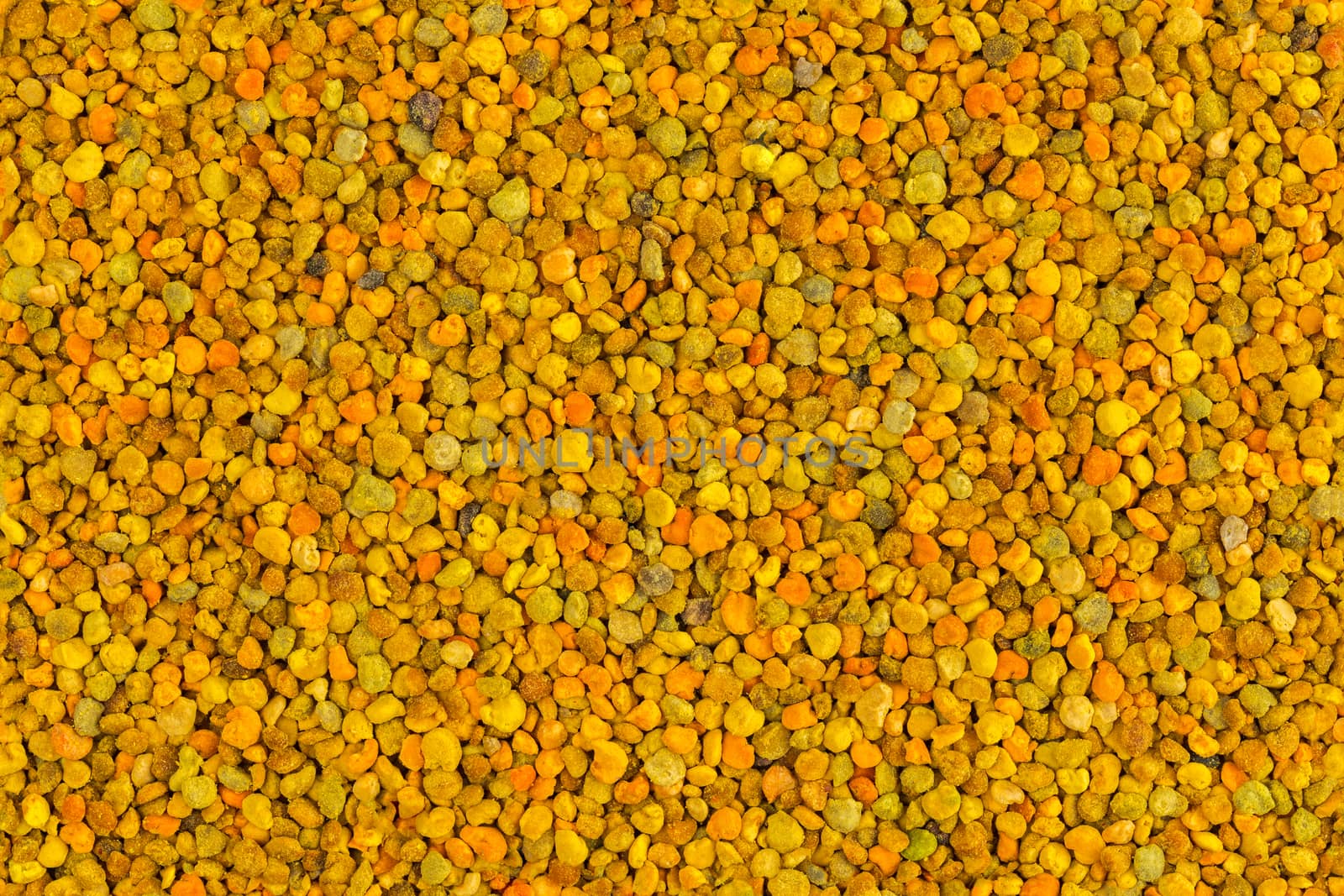 seamless flat texture and closeup background of yellow bee pollen granules