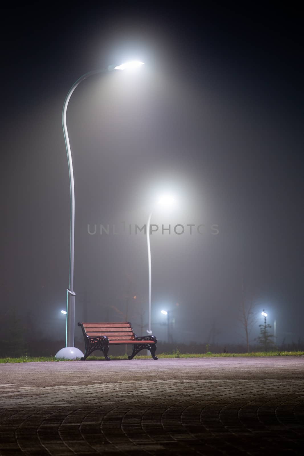 alone bench in dark night misty park with tall lights and selective focus