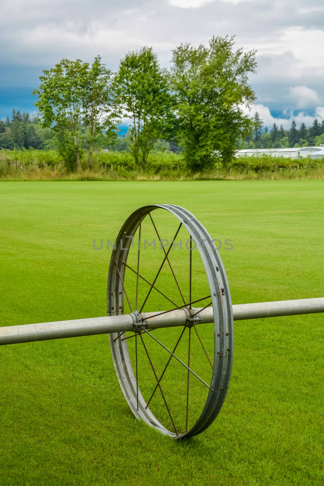 English lawn growing on a farm. Green lawn with irrigation system over the field on cloudy summer day
