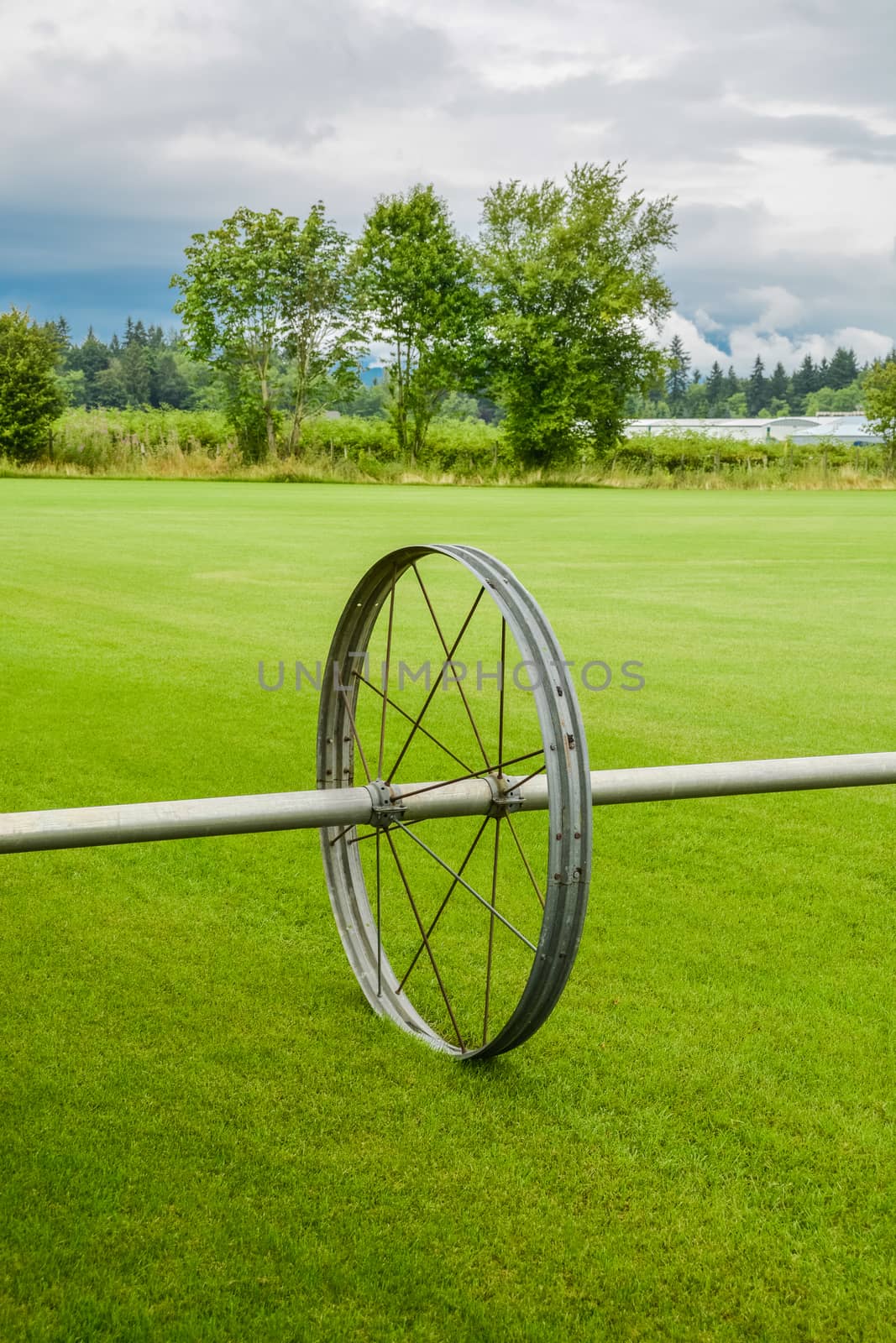 English lawn growing on a farm. Green lawn with irrigation system over the field on cloudy summer day