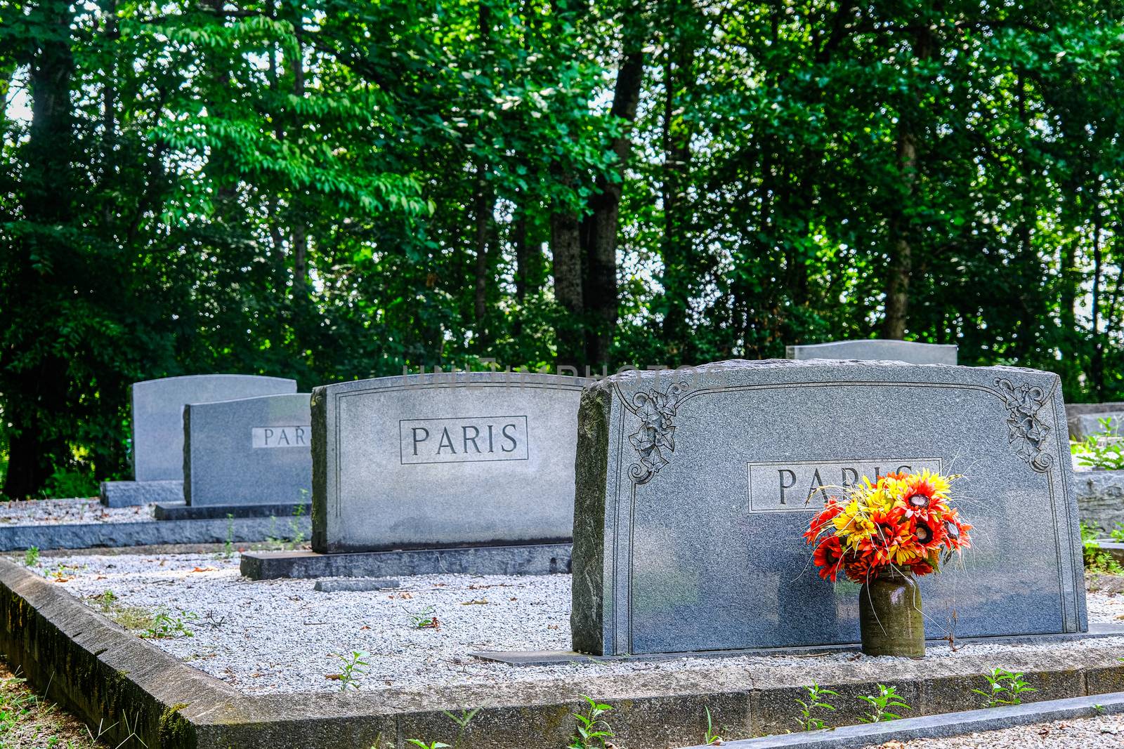 Paris Family Cemetery Plot by dbvirago