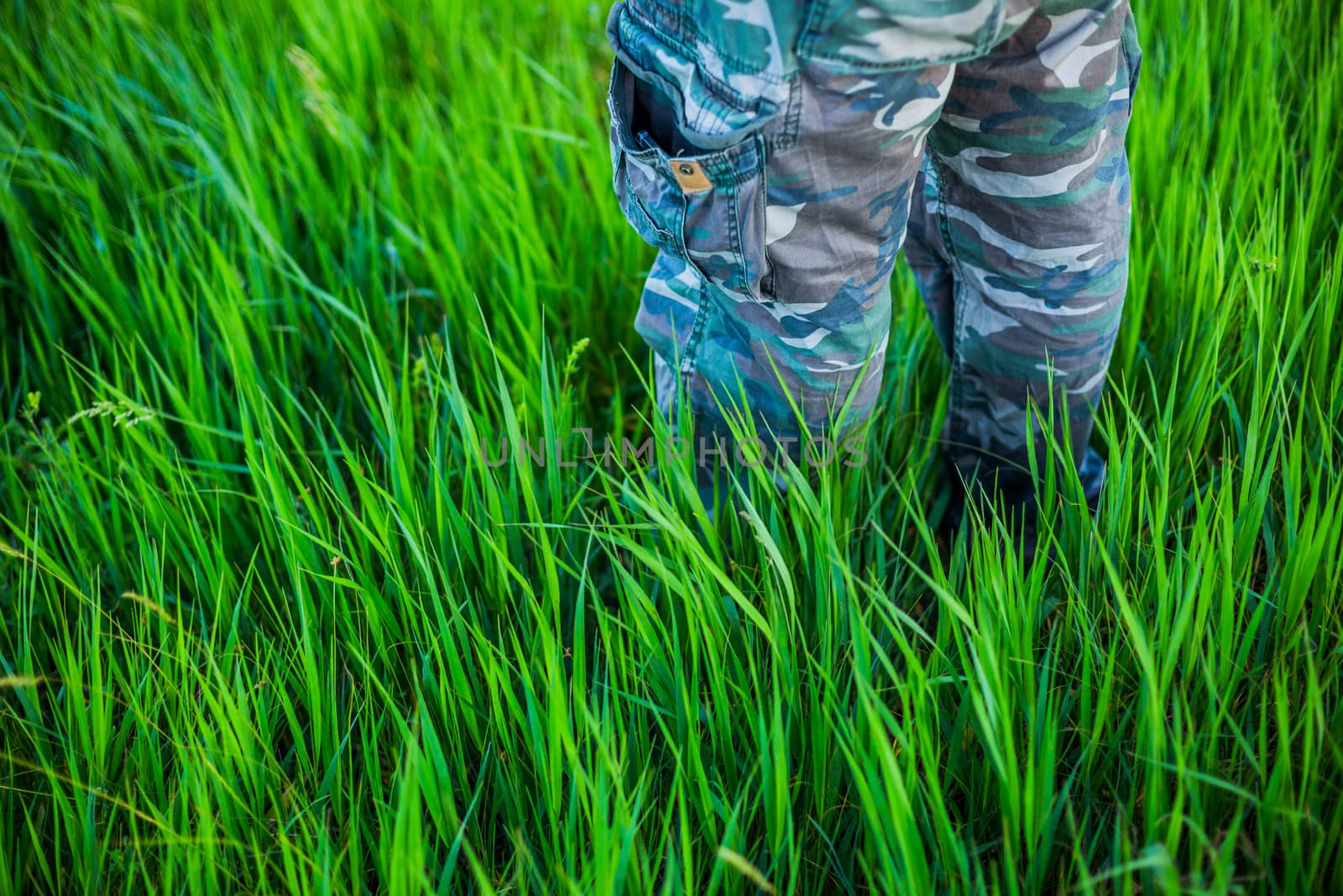 legs in woodland camouflage denim trousers in tall grass with selective focus