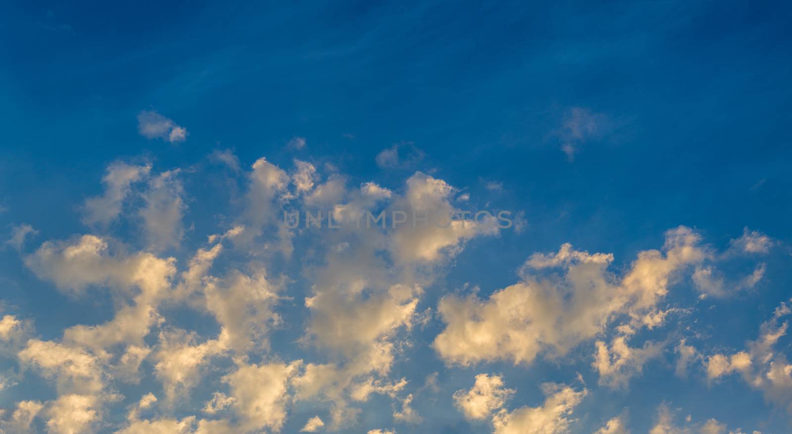 Early morning golden clouds on blue sky wide background without sun, ground or horizon.