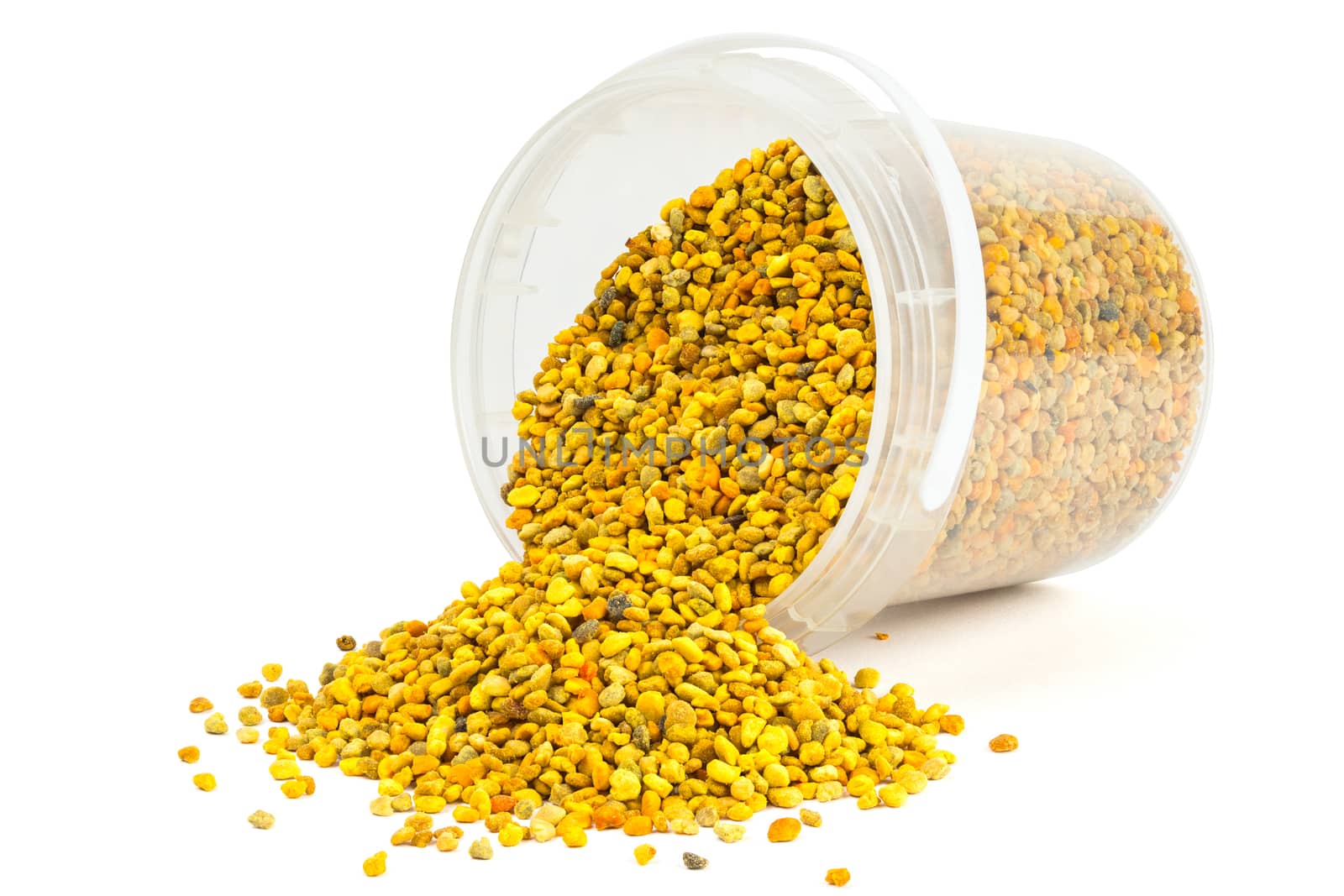 bee pollen granules in small opened plastic container isolated on white background