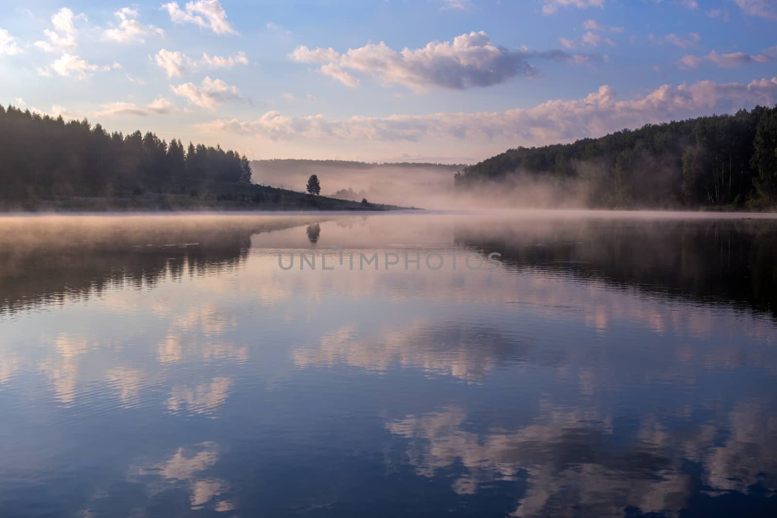 foggy lakeside at summer sunrise