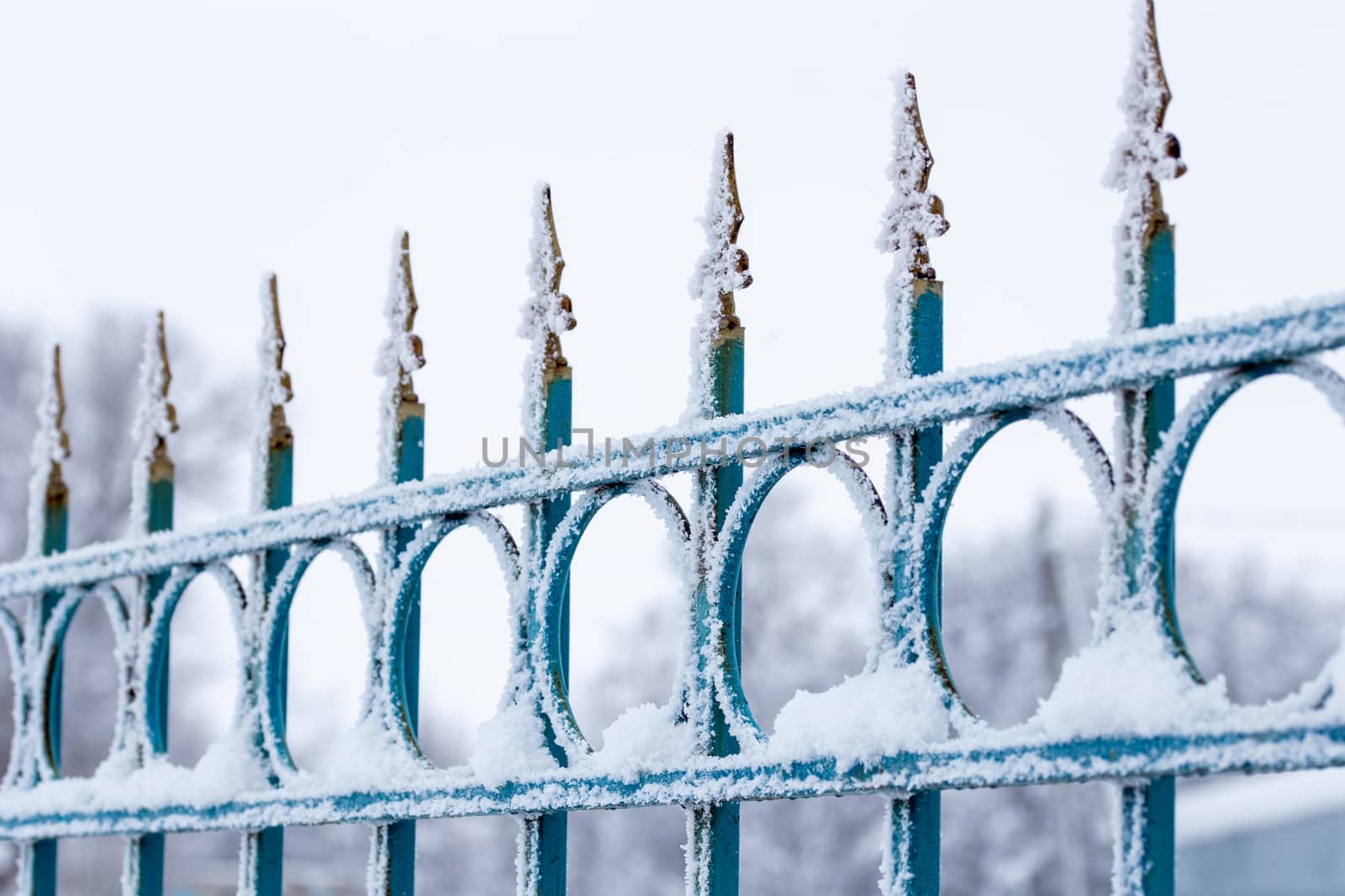 frosty iron fence with selective focus at daylight.