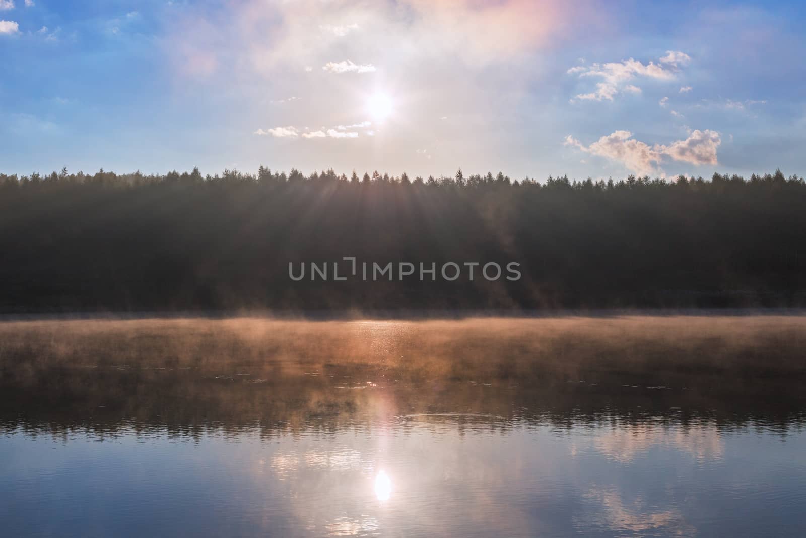 foggy riverside at summer sunrise with flat forest wall