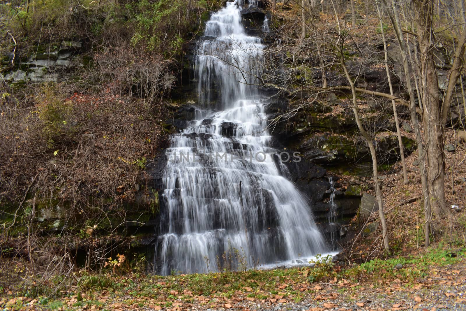 A Small Waterfall Flowing Down a Steep Clif Surrounded by Dead Trees and Foliage