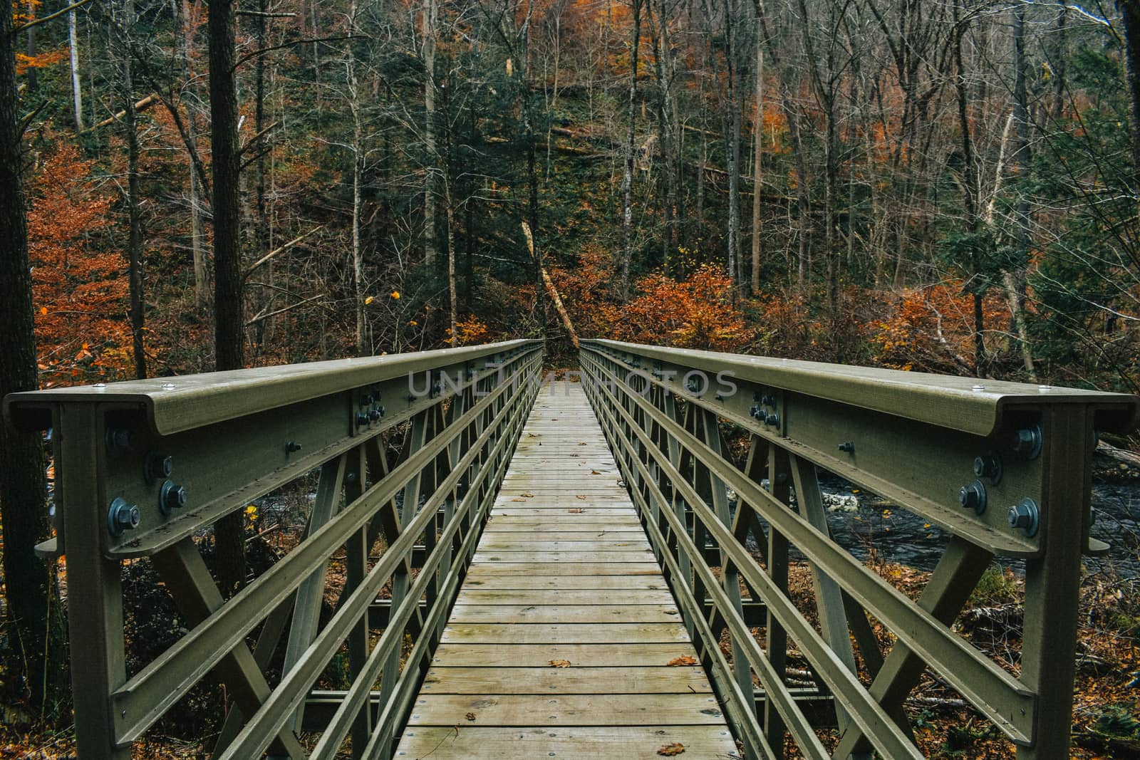 A Steel and Wood Bridge in a Dead Autumn Forest