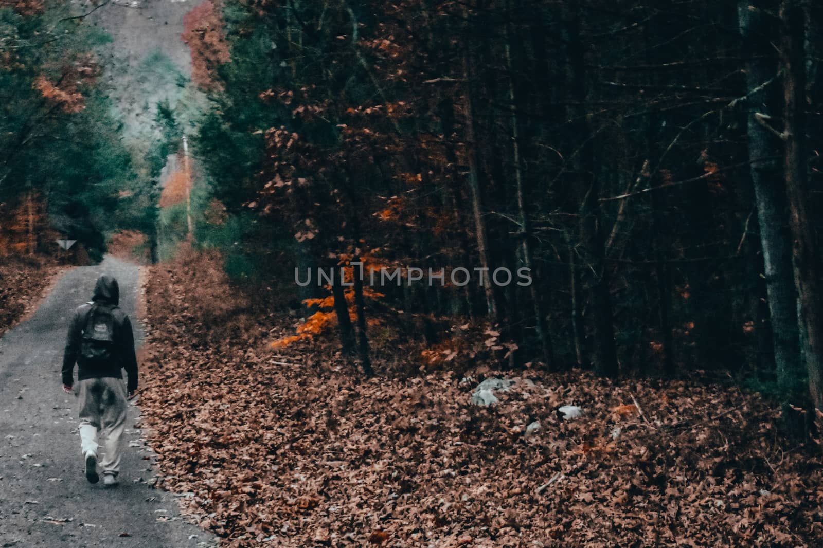 A Man Walking Down a Stone Path in an Autumn Forest by bju12290
