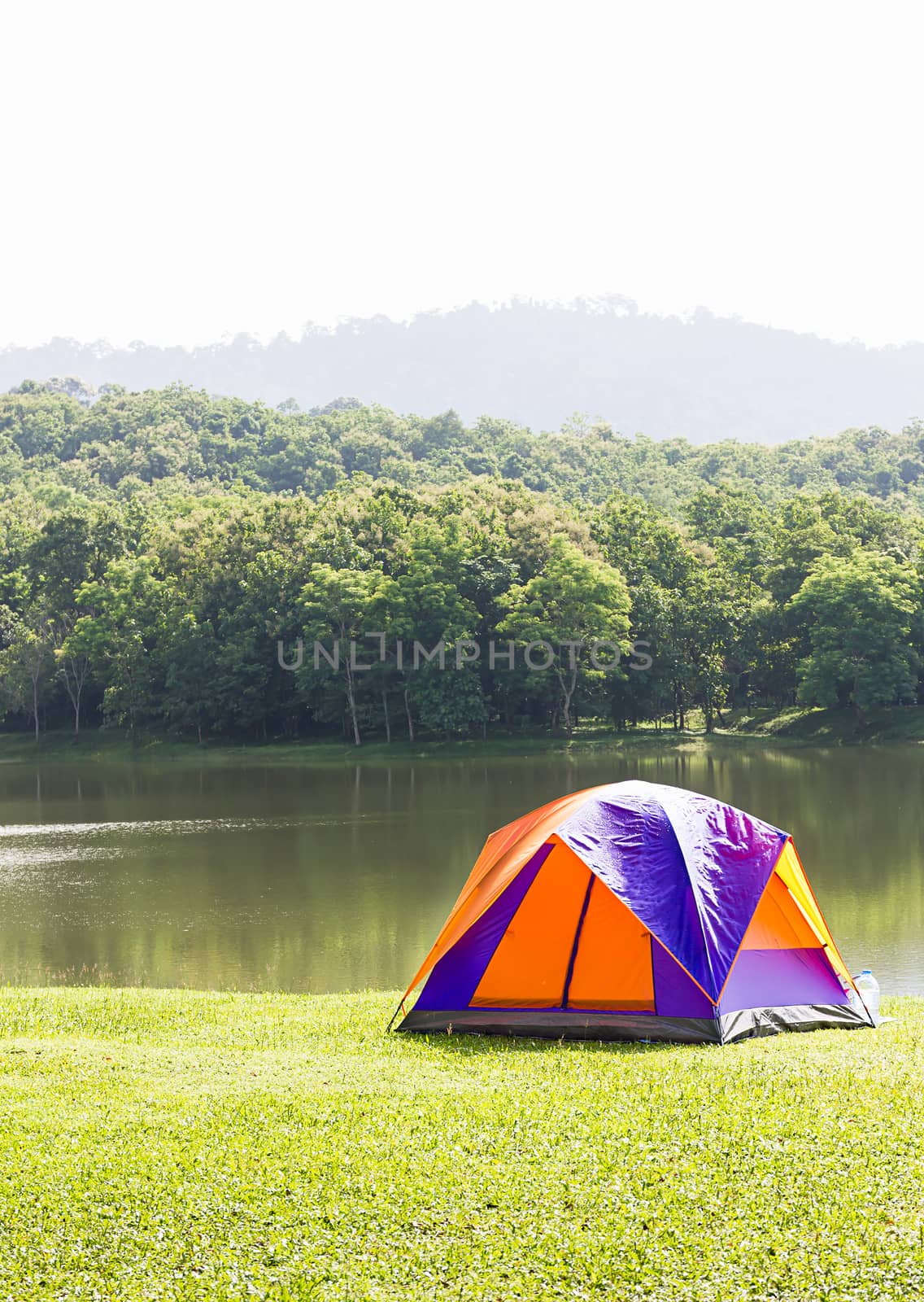 Tourist dome tent camping in forest camping site at lake side