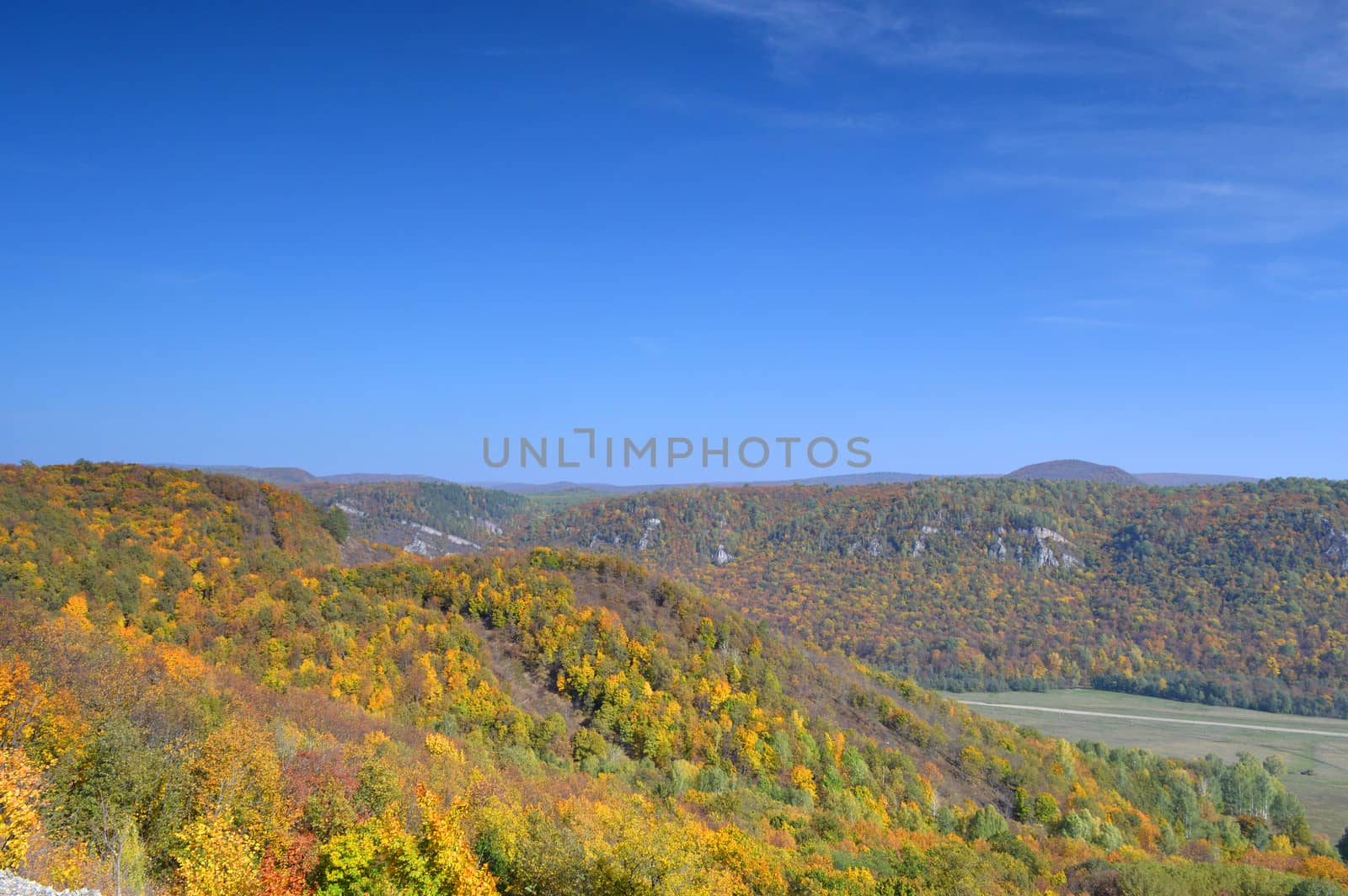 Autumn landscape, tree over mountains