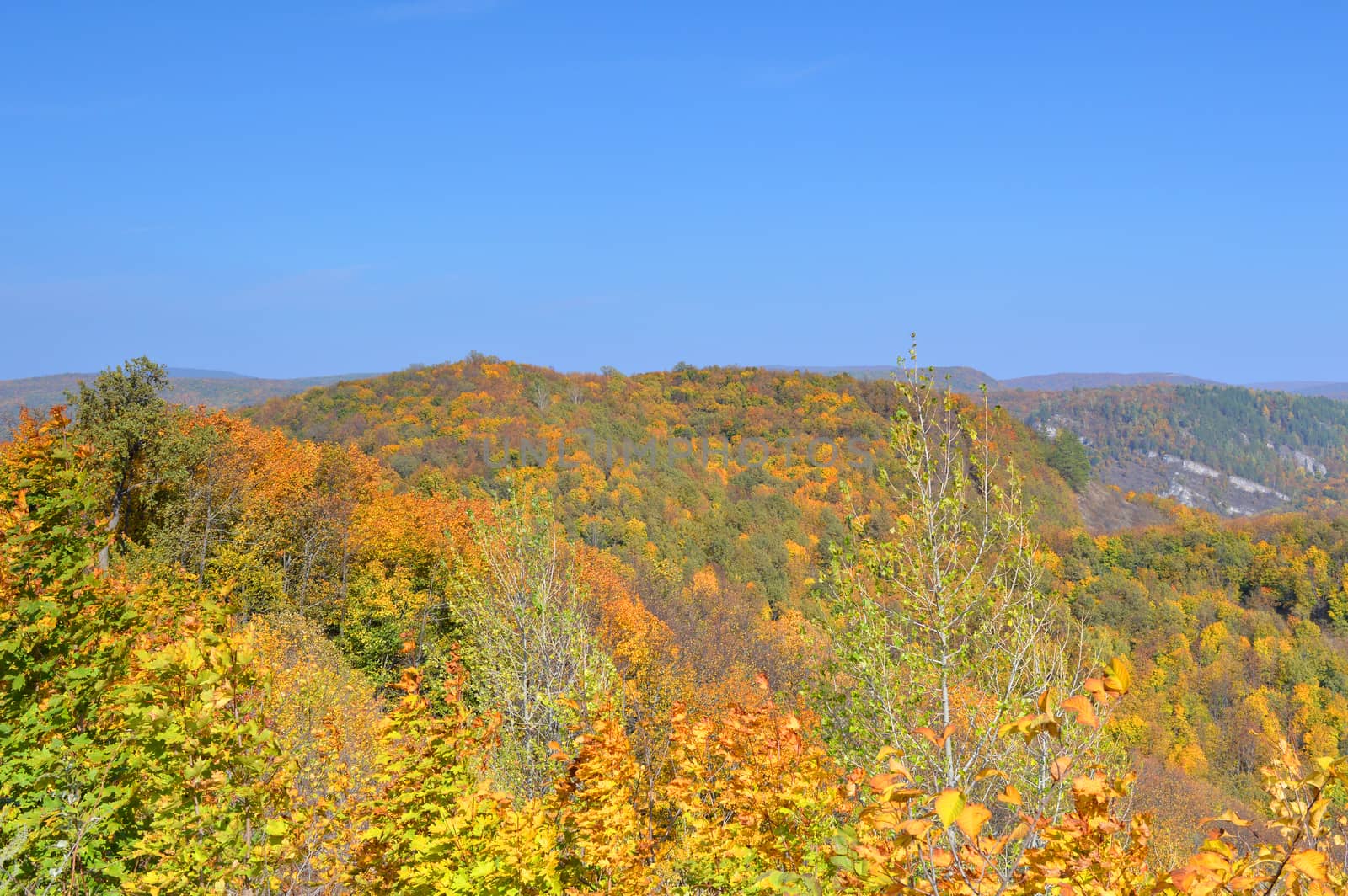 Autumn landscape, tree over mountains