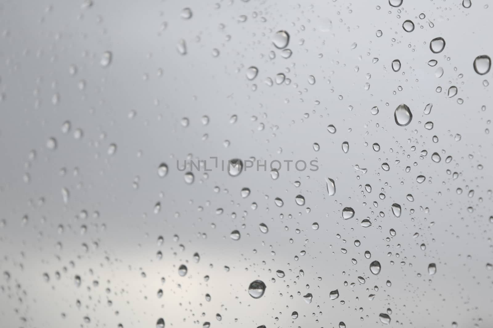 Drops of rain on the window, shallow dof