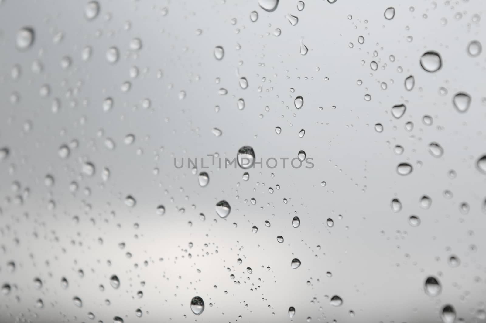 Drops of rain on the window, shallow dof