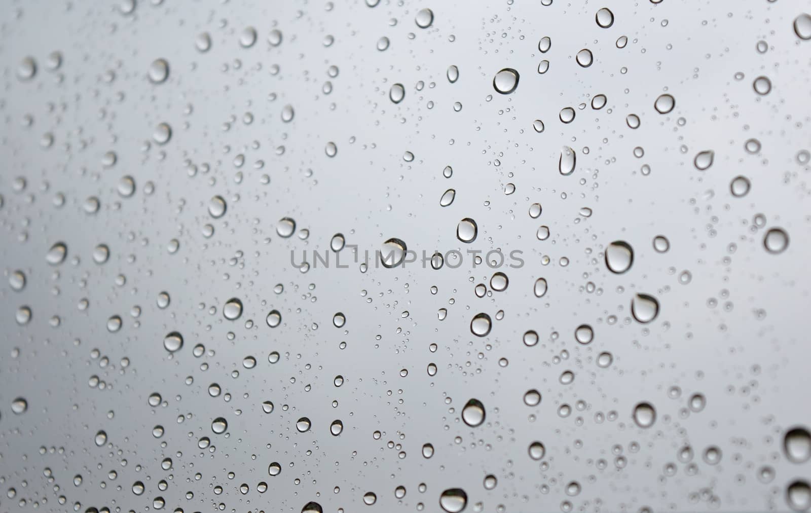 Drops of rain on the window, shallow dof