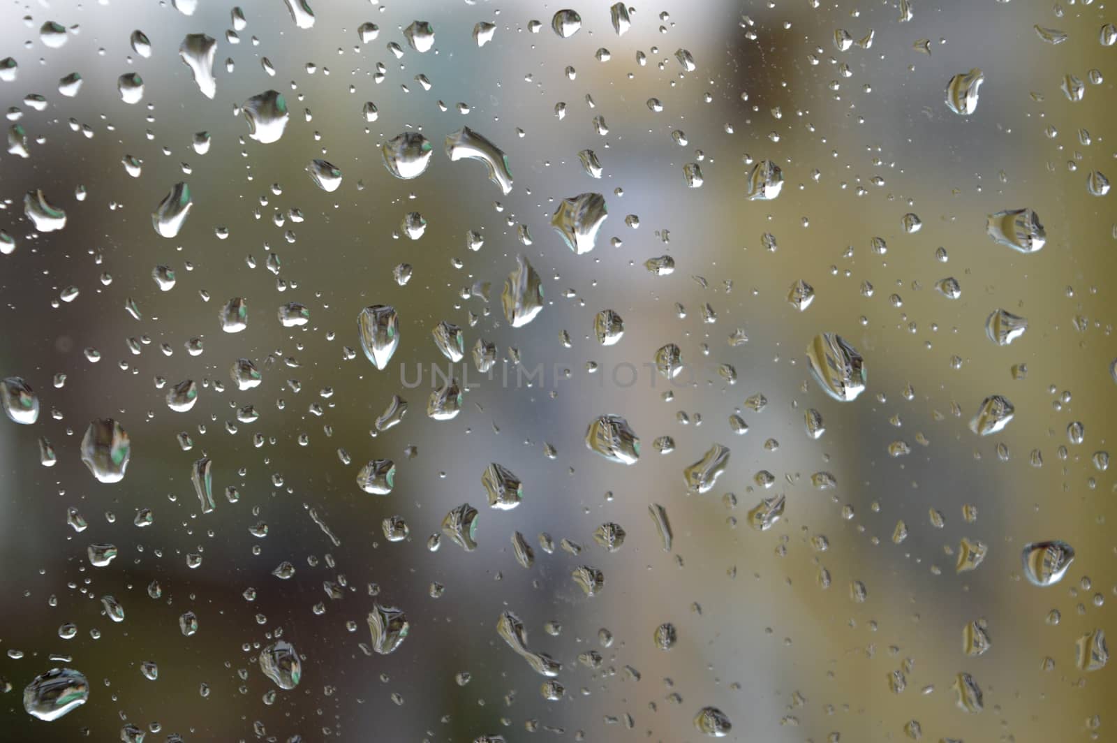 Drops of rain on the window, shallow dof