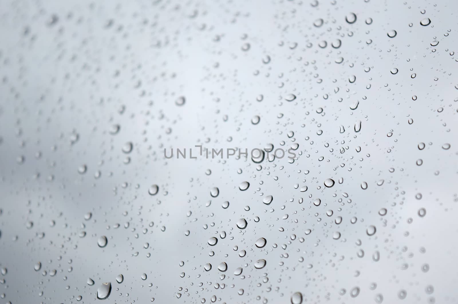 Drops of rain on the window, shallow dof