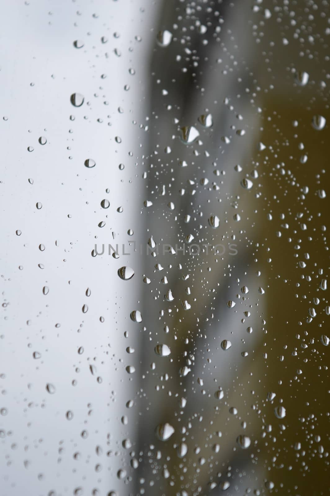 Drops of rain on the window by sergpet