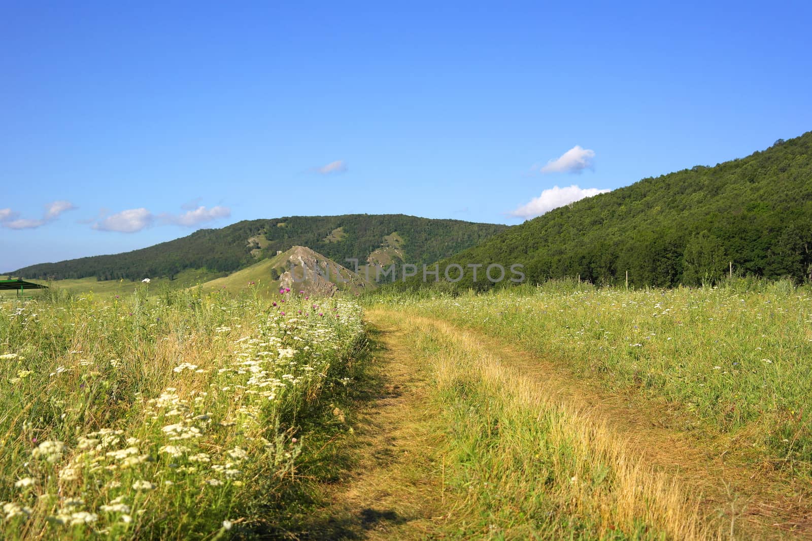 beautiful summer landscape by sergpet