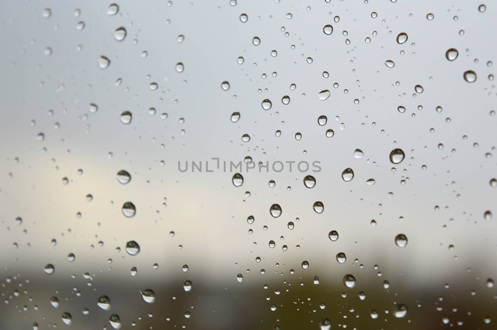 Drops of rain on the window, shallow dof