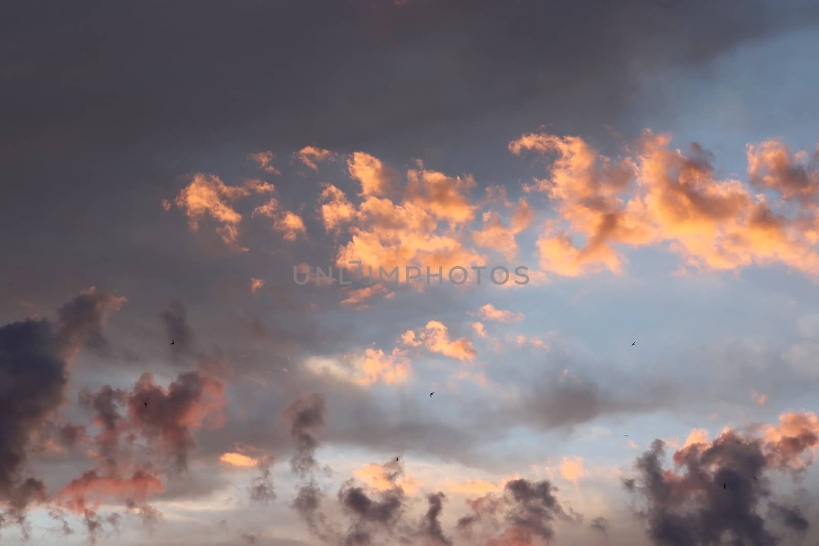 beautiful evening sky with clouds, air nature