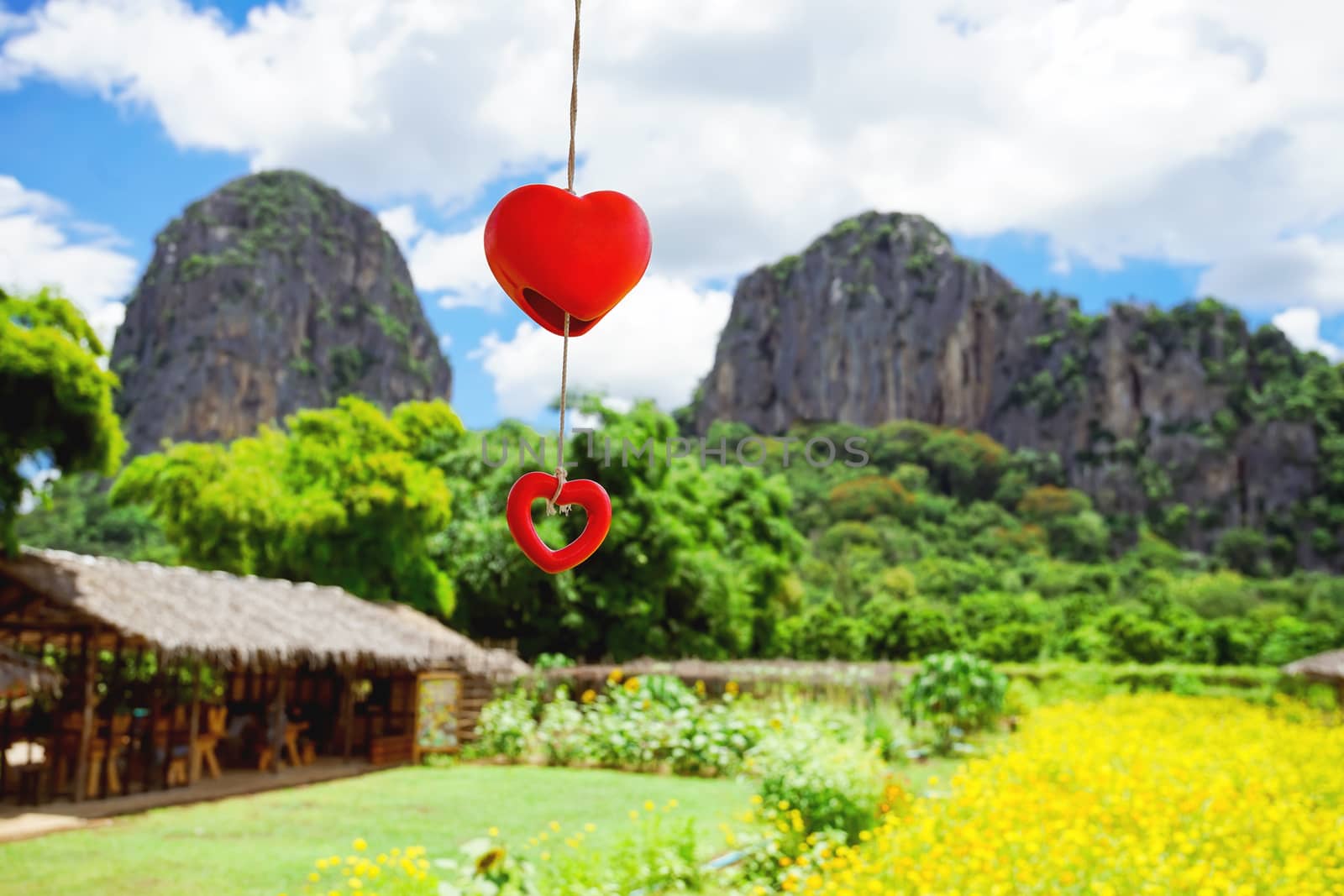 Decorate stuff as red heart mobile is swing in the air with yellow cosmos and big mountain background.