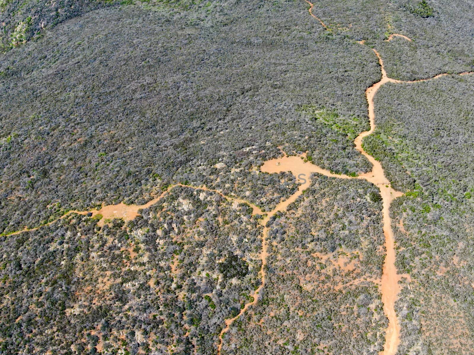 Aerial top view of Black Mountain in Carmel Valley, San Diego, California, USA. Green dry mountain during with hiking trails, perfect for hiking .