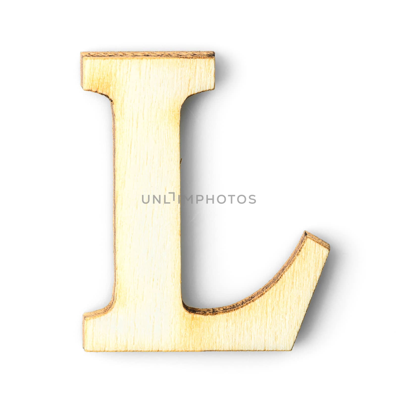 Wooden Alphabet study english letter with drop shadow on white background,L