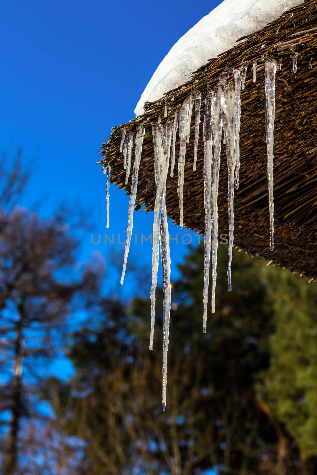 Icicles on straw roof corner of rustic house