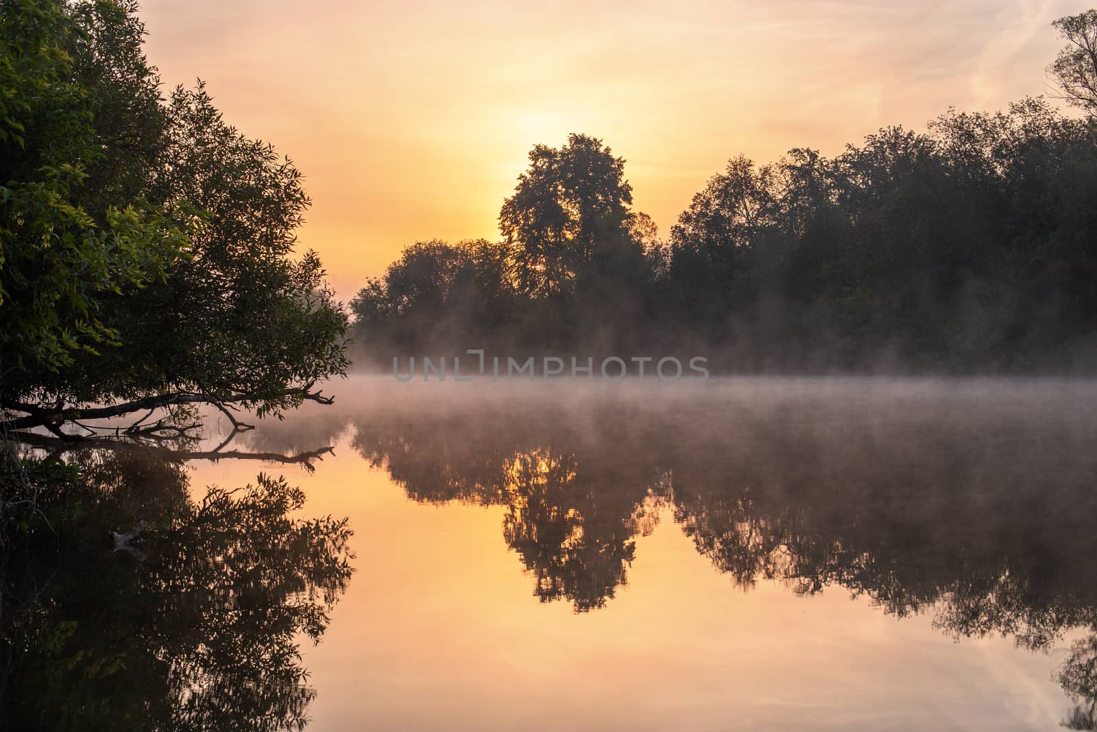 Misty calm small river on a summer morning. Fog floating over the cool water with reflection of the greenery and sky.