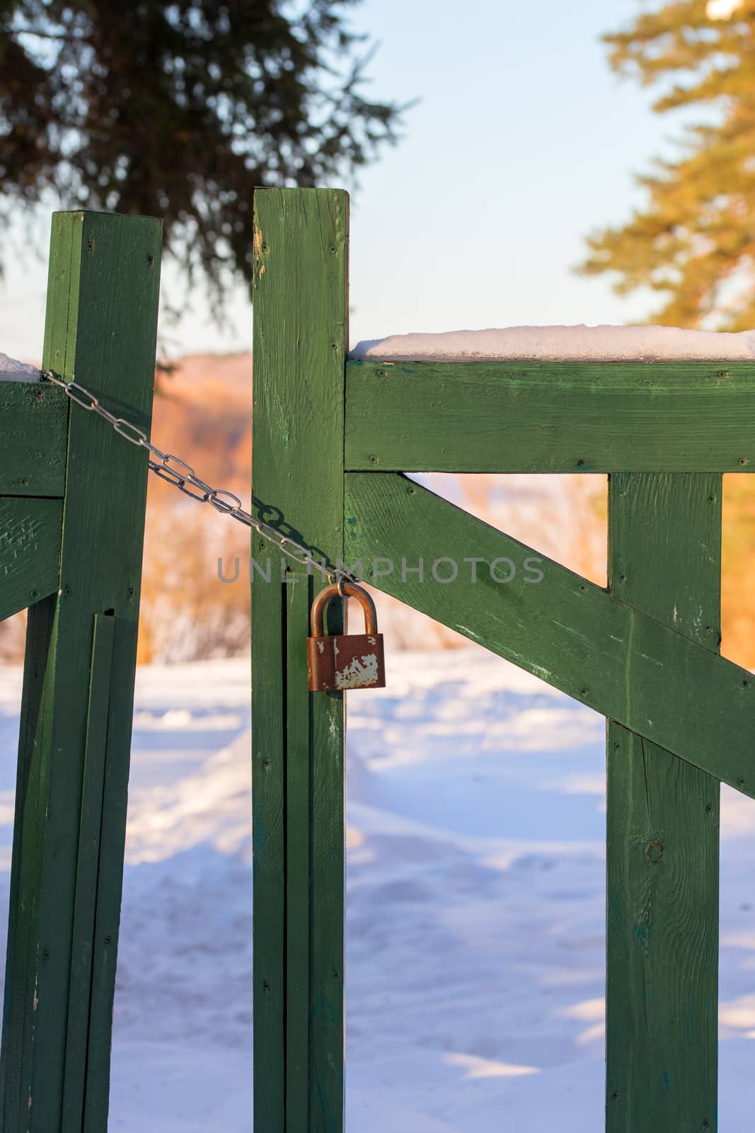closed wooden gate at winter daylight with chain and padlock