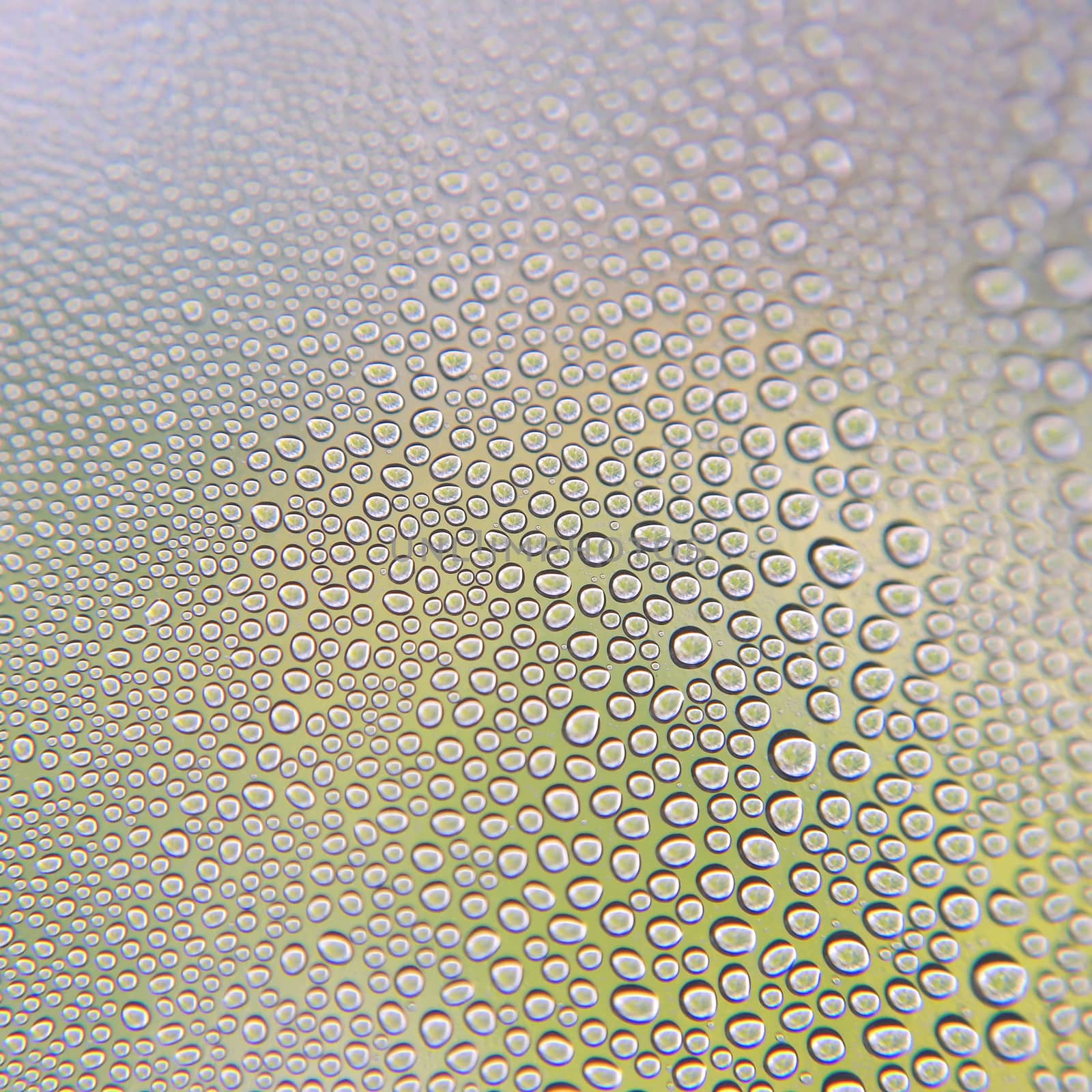 Drops of water on the crooked glass, shallow dof