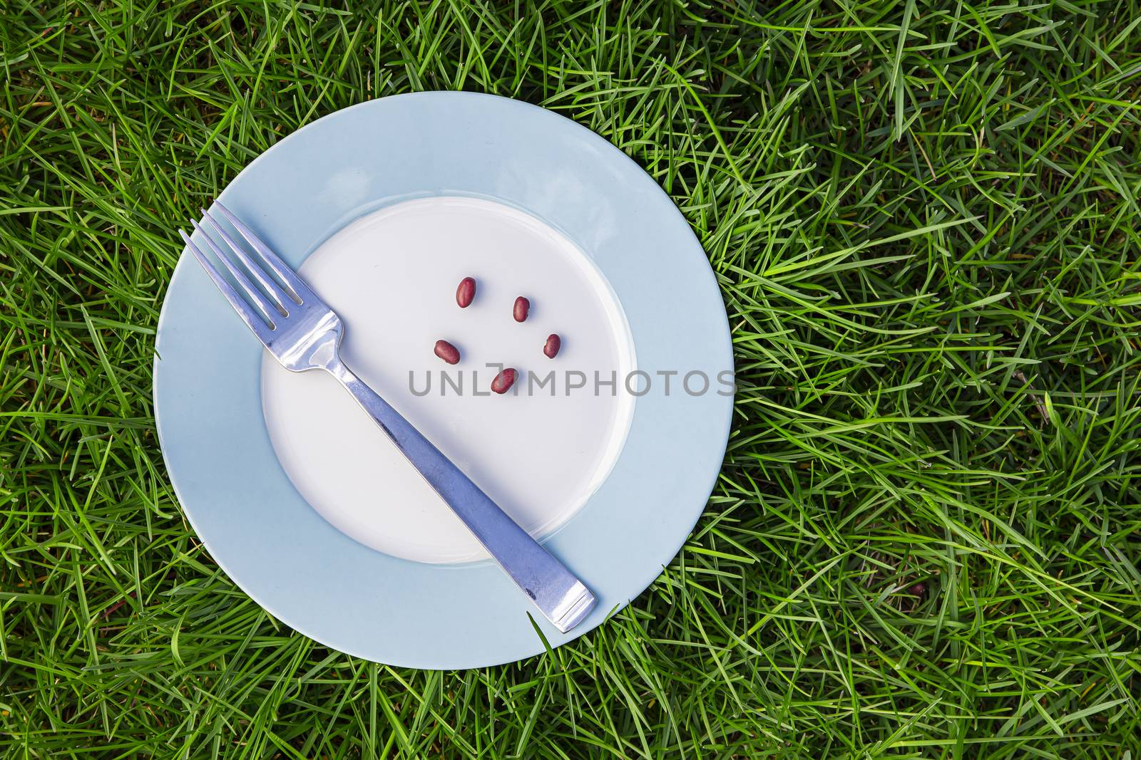 blue rimmed plate, on grass, with a metal fork and five dry red beans