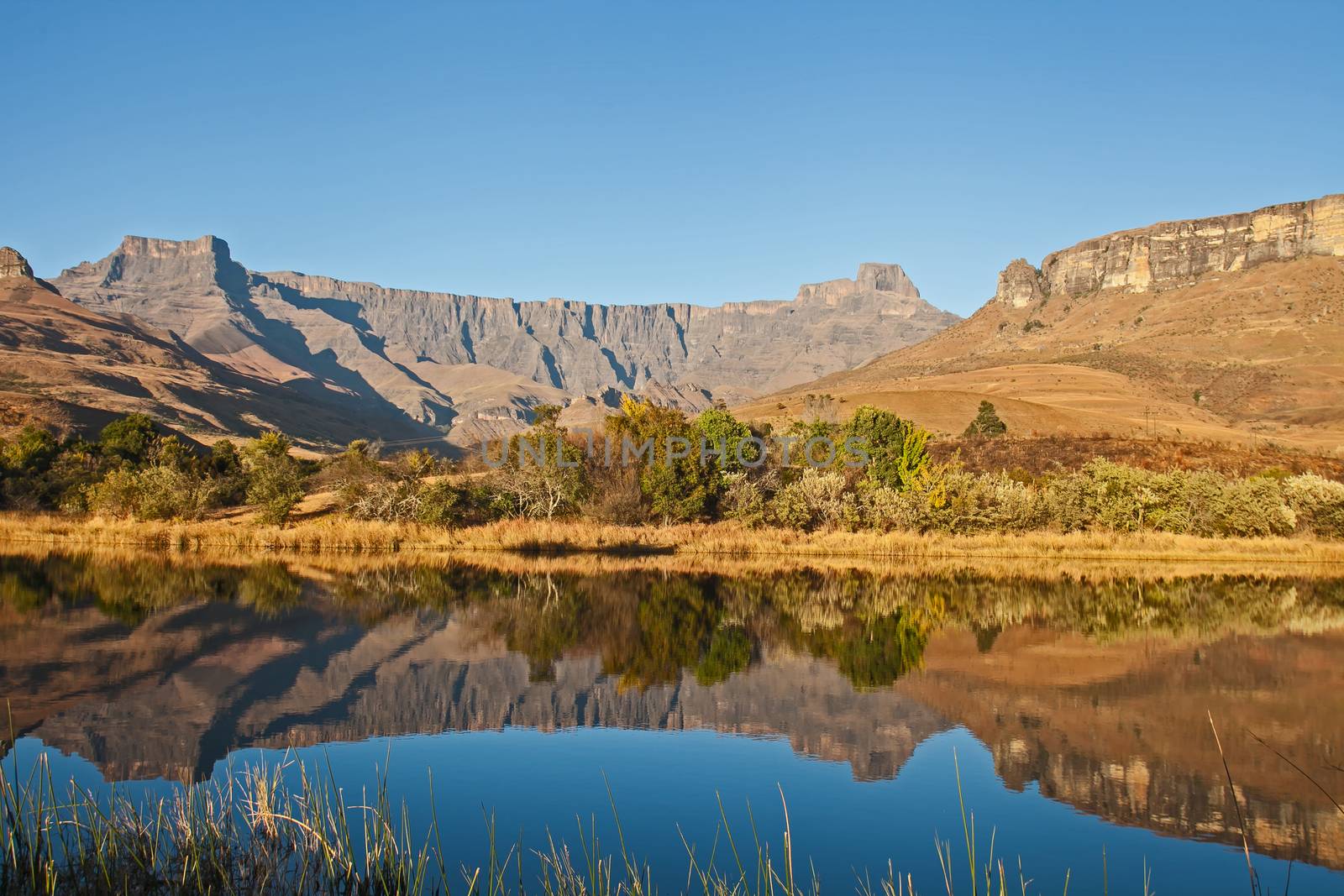 Scenic reflections in a Drakensberg lake 11059 by kobus_peche