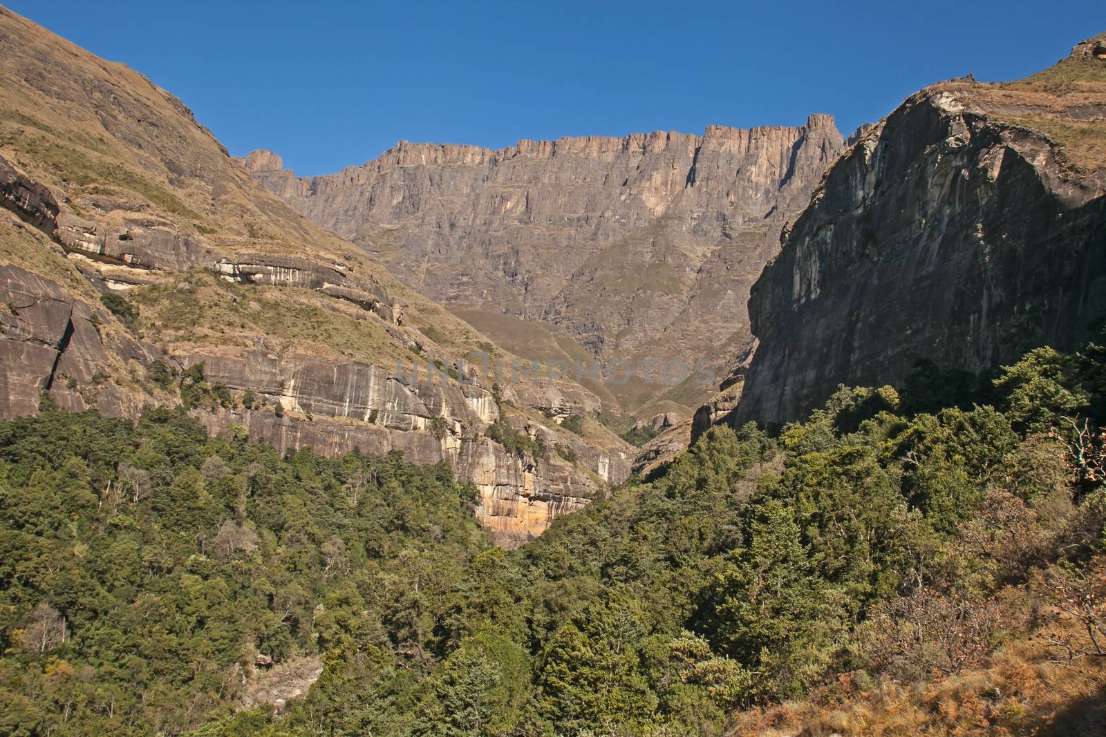 Drakensberg mountain landscape at the entrance to the Tugela River Gorge, Royal Natal National Park. KwaZulu-Natal. South Africa