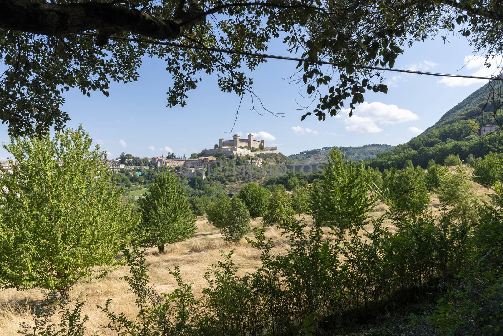landscape of the poese di spoleto seen from monteluco