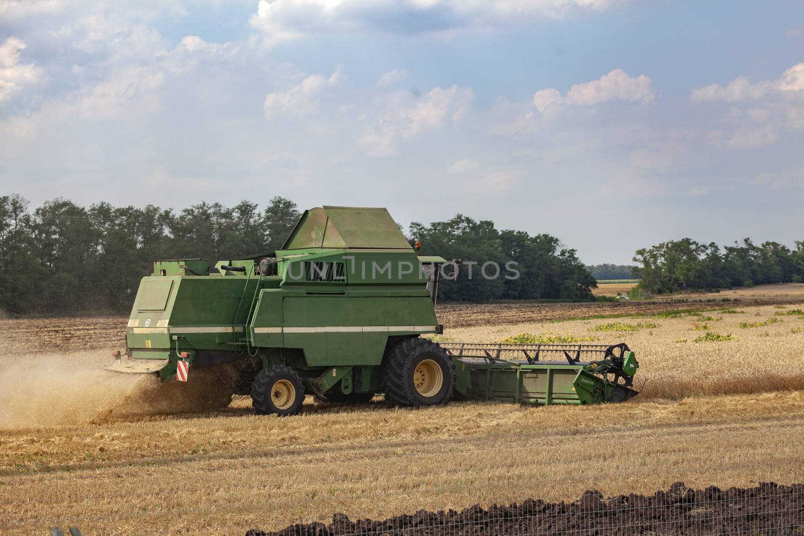 Summer landscape with combine harvester that mows wheat