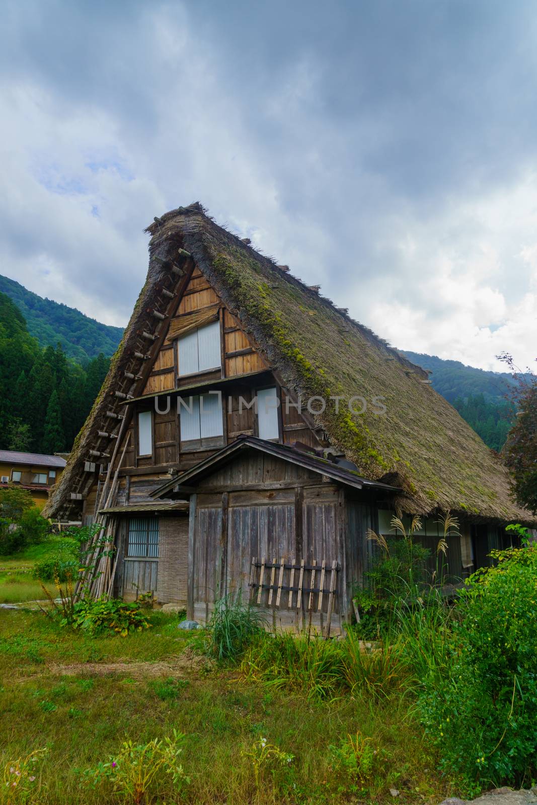 Traditional gassho-zukuri farmhouse, in Ogimachi village, Shirakawa-go, Ono, Japan