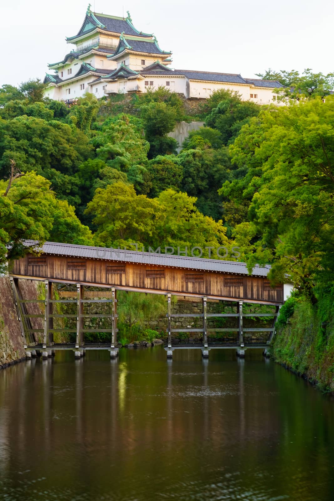 Wakayama castle and the Ohashirouka Covered Bridge by RnDmS