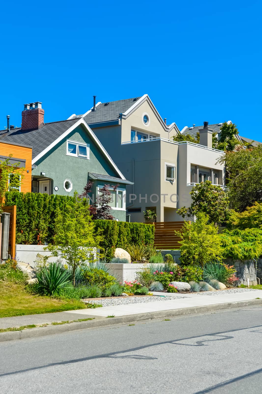 Modern residential houses on the street with landscaped front yards on terraces