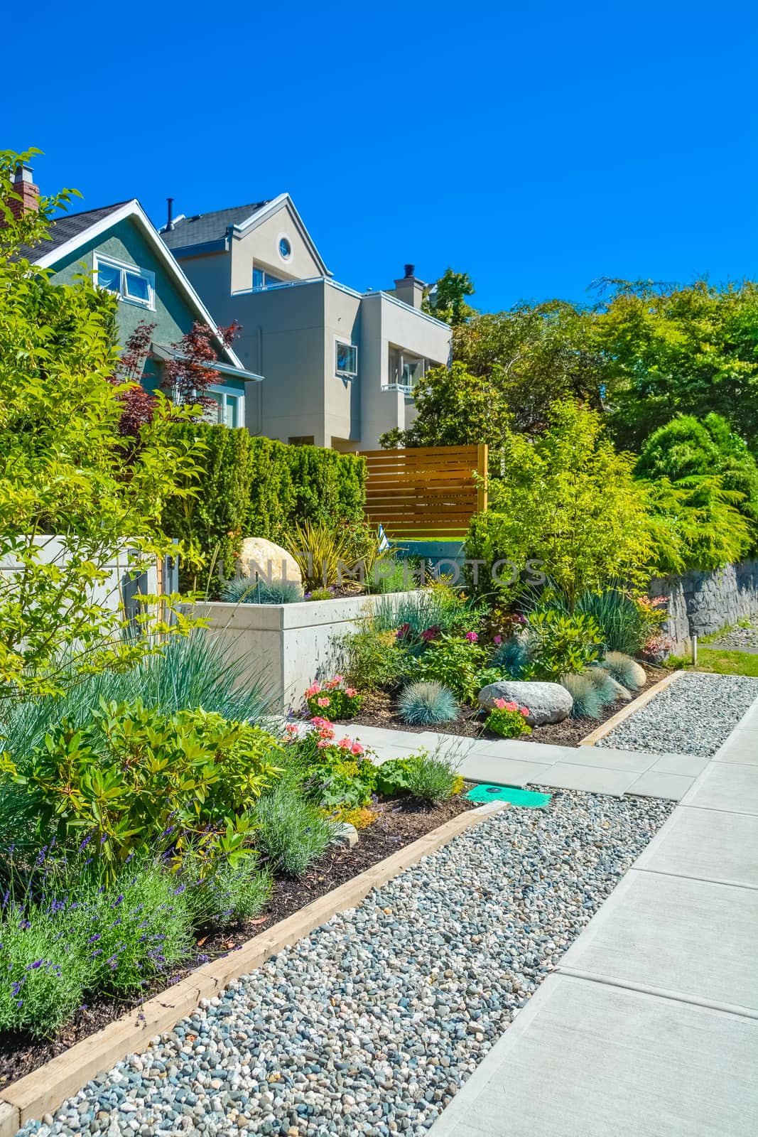 Delicatedly landscaped front yards of residential houses on a street