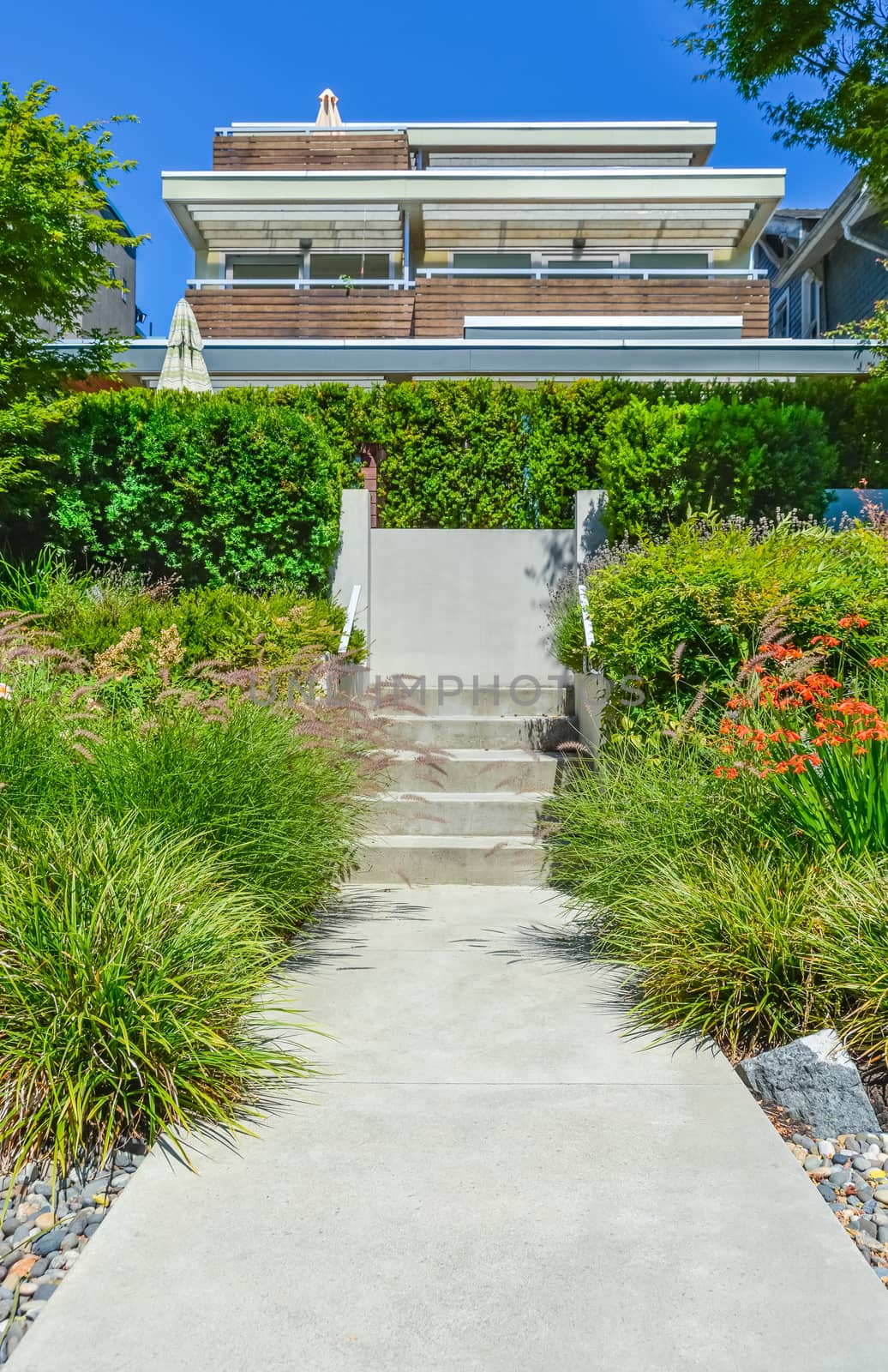 Concrete pathway with stairs to residential house on the trarrace over landscaped front yard