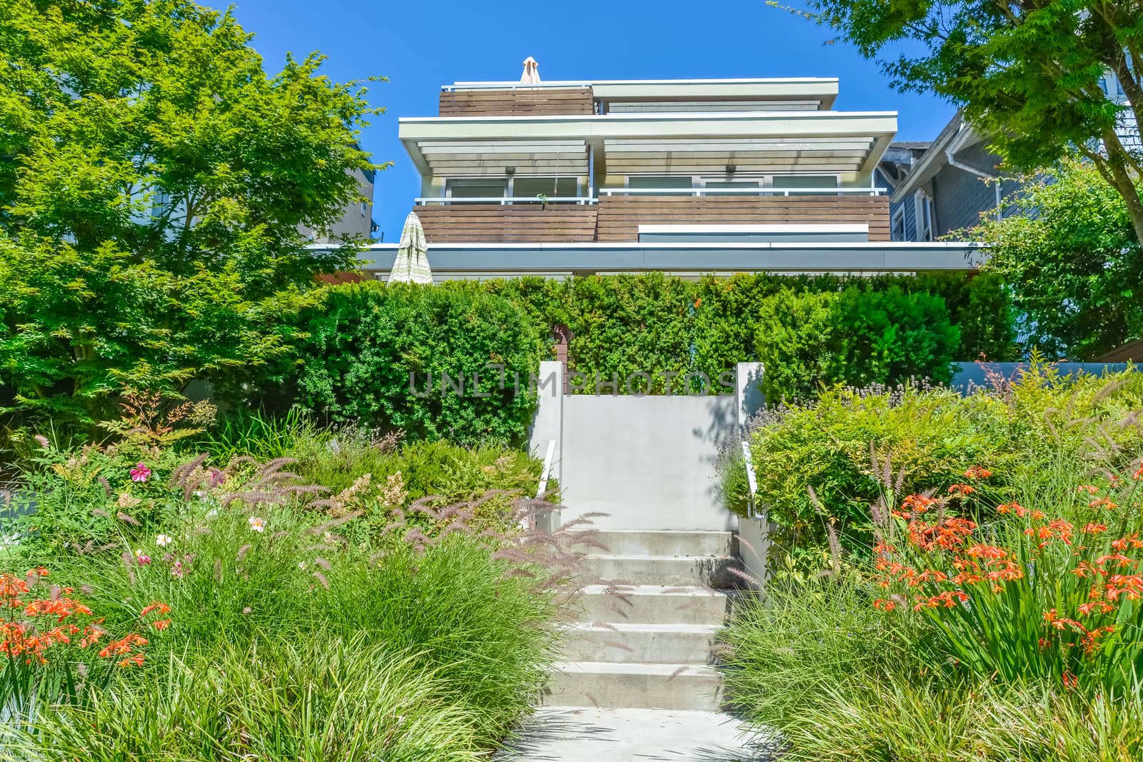 Concrete pathway with stairs to residential house on the trarrace over landscaped front yard